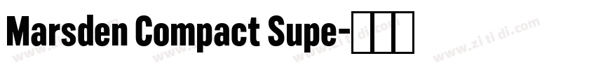 Marsden Compact Supe字体转换